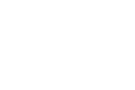 A-OK White Security Logo