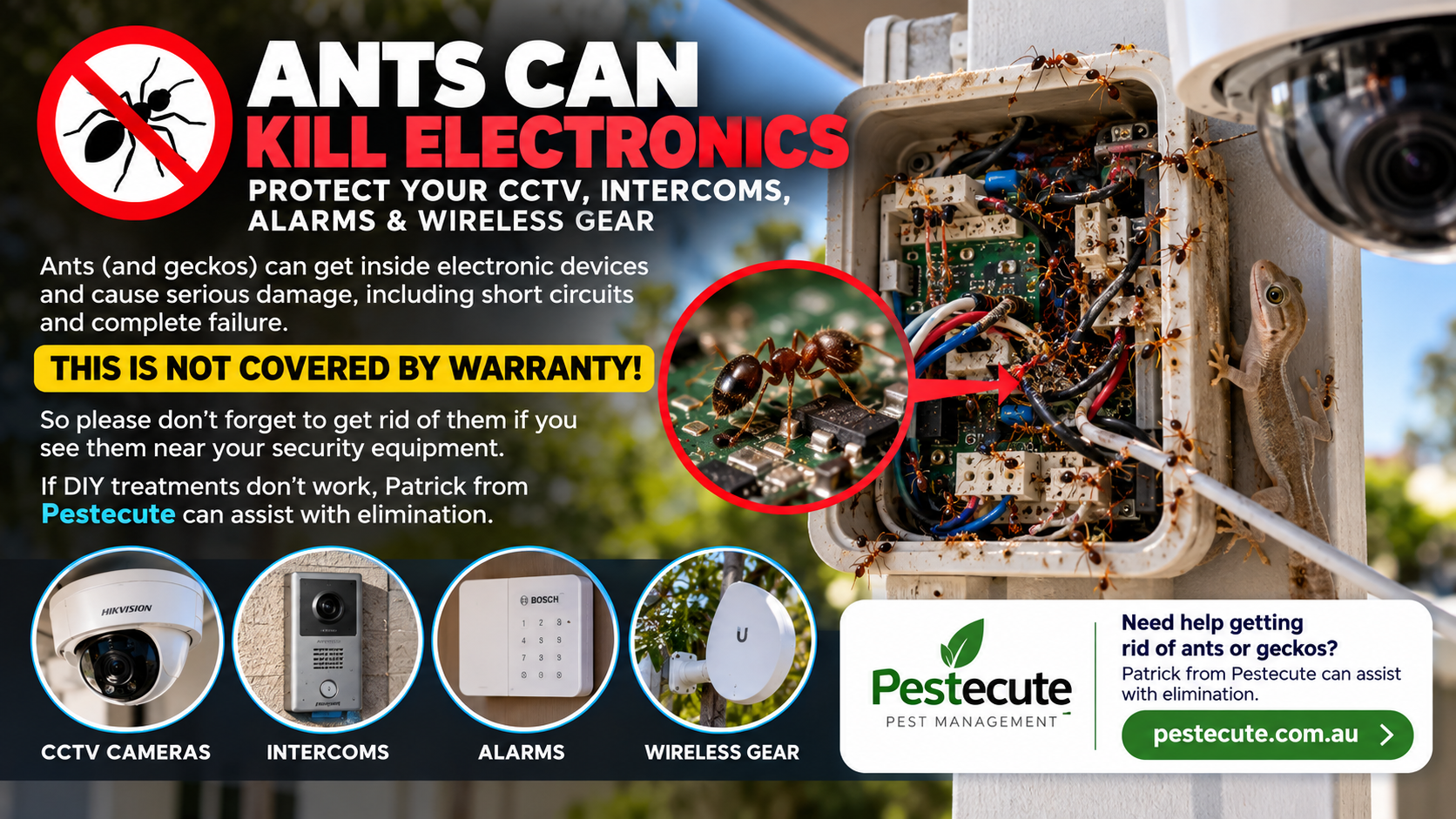 Ants Kill Electronics
